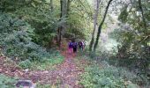 Trail Walking Penne - Aveyron-121012 - Penne-Bruniquel (txt,gps,foto) - Photo 9