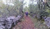 Trail Walking Penne - Aveyron-121012 - Penne-Bruniquel (txt,gps,foto) - Photo 6