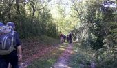 Trail Walking Saint-Antonin-Noble-Val - Aveyron-121013 - StAntonin-Cazals (txt,gps,foto) - Photo 13