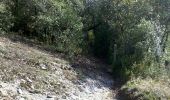Trail Walking Saint-Antonin-Noble-Val - Aveyron-121013 - StAntonin-Cazals (txt,gps,foto) - Photo 11