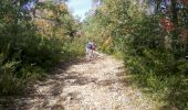 Trail Walking Saint-Antonin-Noble-Val - Aveyron-121013 - StAntonin-Cazals (txt,gps,foto) - Photo 7