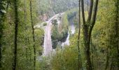 Trail Walking Najac - Aveyron-121014 - Najac-Cassagnes (txt,gps,foto) - Photo 9