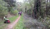 Trail Walking Najac - Aveyron-121014 - Najac-Cassagnes (txt,gps,foto) - Photo 6