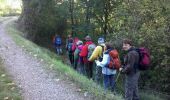 Trail Walking Cordes-sur-Ciel - Aveyron-121016 - Cordes-SentierBleu (txt,gps,foto) - Photo 10