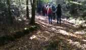 Trail Walking Favières - Favières Etangs d''Armainvilliers - Photo 4