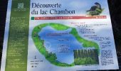 Randonnée Marche Chambon-sur-Lac - lac Chambon (auvergne) - Photo 4
