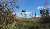 Trail Walking Châtenois - Le Hahnenberg et les balcons Sélestat - Photo 13