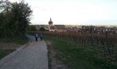 Tocht Stappen Châtenois - Le Hahnenberg et les balcons Sélestat - Photo 2