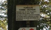 Trail Cycle Mulhouse - waldeck - Photo 1