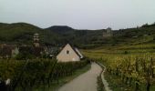 Tour Wandern Kaysersberg-Vignoble - Balade dans les vignes à Kaysersberg - Photo 1