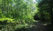 Trail Walking Modave - Modave. Natura 2000, des sites qui valent le détour ! Lg4 - Photo 8