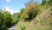 Trail Walking Modave - Modave. Natura 2000, des sites qui valent le détour ! Lg4 - Photo 4