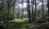 Randonnée Marche Vresse-sur-Semois - Bohan. Natura 2000, des sites qui valent le détour ! Na2 - Photo 2