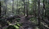 Randonnée Marche Vresse-sur-Semois - Bohan. Natura 2000, des sites qui valent le détour ! Na2 - Photo 1