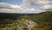 Randonnée Marche Vresse-sur-Semois - Bohan. Natura 2000, des sites qui valent le détour ! Na2 - Photo 3