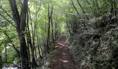 Randonnée Marche Viroinval - Nismes. Natura 2000, des sites qui valent le détour ! Na5 - Photo 10