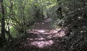 Trail Walking Viroinval - Nismes. Natura 2000, des sites qui valent le détour ! Na5 - Photo 8