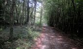 Trail Walking Viroinval - Nismes. Natura 2000, des sites qui valent le détour ! Na5 - Photo 5