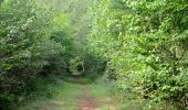 Trail Walking Viroinval - Nismes. Natura 2000, des sites qui valent le détour ! Na5 - Photo 4