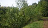 Trail Walking Viroinval - Nismes. Natura 2000, des sites qui valent le détour ! Na5 - Photo 6