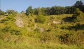 Randonnée Marche Viroinval - Vierves. Natura 2000, des sites qui valent le détour ! Na6 - Photo 4
