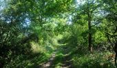 Randonnée Marche Viroinval - Vierves. Natura 2000, des sites qui valent le détour ! Na6 - Photo 6