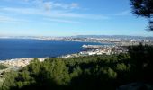 Tour Wandern Marseille - GR51-GR98 Les Calanques - Photo 12