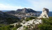 Excursión Senderismo Marsella - GR51-GR98 Les Calanques - Photo 16