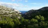 Excursión Senderismo Marsella - GR51-GR98 Les Calanques - Photo 5