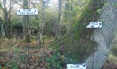 Tour Wandern Neuvy-sur-Barangeon - fay B classe verte - Photo 6