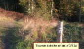 Tour Nordic Walking Landéan - CMN Du Poulailler à Galoupel 10 km - Photo 20