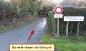 Tocht Noords wandelen Landéan - CMN Du Poulailler à Galoupel 10 km - Photo 13