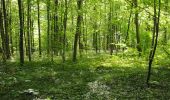 Tocht Stappen Rouvroy - Torgny. Natura 2000, des sites qui valent le détour. Lx5 - Photo 7