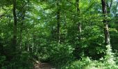 Trail Walking Rouvroy - Torgny. Natura 2000, des sites qui valent le détour. Lx5 - Photo 3