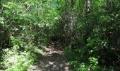 Trail Walking Rouvroy - Torgny. Natura 2000, des sites qui valent le détour. Lx5 - Photo 1
