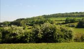 Randonnée Marche Rouvroy - Torgny. Natura 2000, des sites qui valent le détour. Lx5 - Photo 10