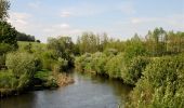 Excursión Senderismo Rouvroy - Torgny. Natura 2000, des sites qui valent le détour. Lx5 - Photo 13