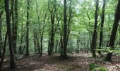 Randonnée Marche Vresse-sur-Semois - La Semois. Natura 2000, des sites qui valent le détour. Na3 - Photo 9