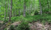 Tocht Stappen Daverdisse - Gembes. Natura 2000, des sites qui valent le détour. Lx6 - Photo 1