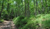Trail Walking Daverdisse - Gembes. Natura 2000, des sites qui valent le détour. Lx6 - Photo 5
