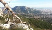 Trail Walking Toulon - Tour Du Baou par falaises - Photo 3