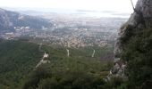 Trail Walking Toulon - Tour Du Baou par falaises - Photo 1