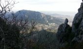 Trail Walking Toulon - Tour Du Baou par falaises - Photo 14