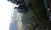 Percorso Marcia Tolone - Tour Du Baou par falaises - Photo 13