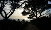 Randonnée Marche Toulon - Tour Du Baou par falaises - Photo 9