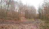 Trail Running Walheim - noel - Photo 16