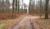 Trail Running Walheim - noel - Photo 17