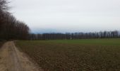 Trail Running Walheim - noel - Photo 15