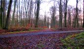 Trail Walking Longpont - en forêt de Retz_10_Longpont_carrefour des Princesses_AR - Photo 3