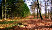 Trail Walking Longpont - en forêt de Retz_10_Longpont_carrefour des Princesses_AR - Photo 20